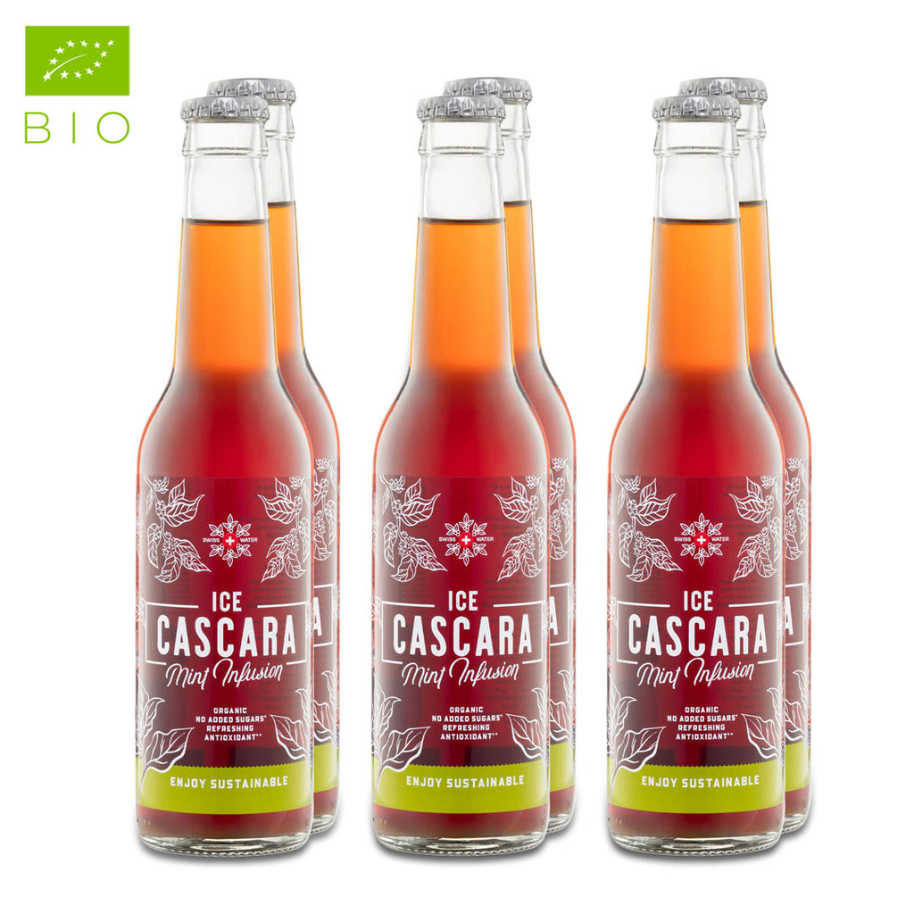 Ice Cascara Menthe 330ml