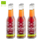 Ice Cascara Menthe 330ml