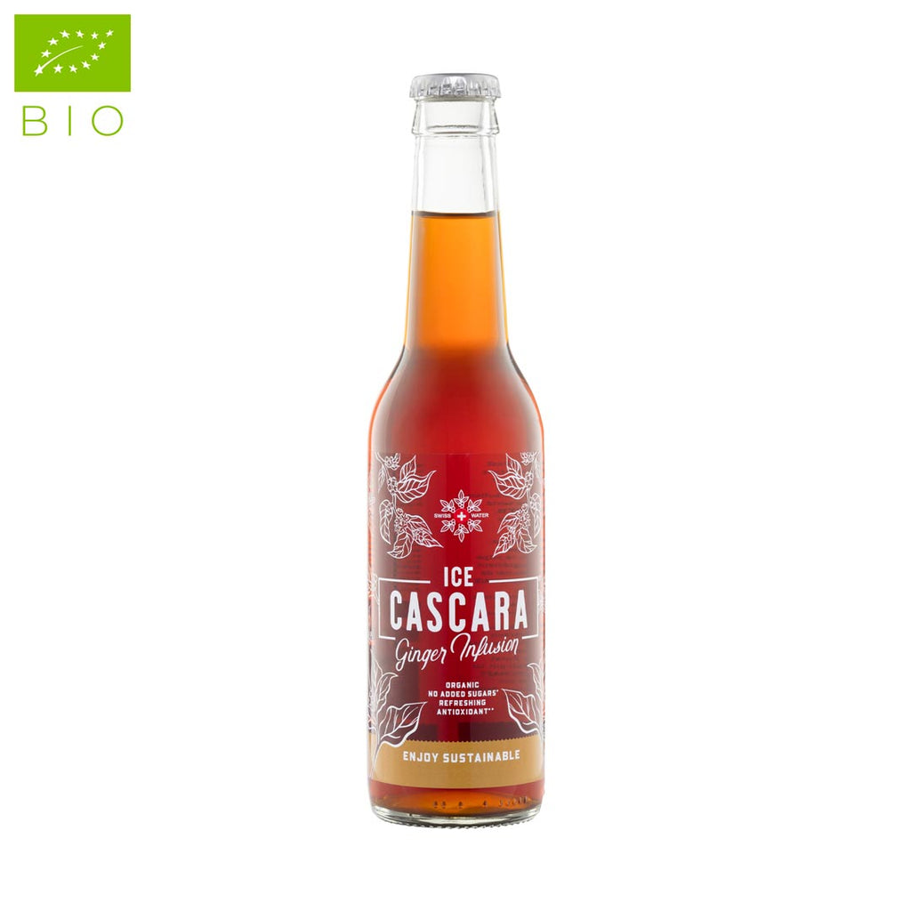 Ice Cascara Gingembre 330ml