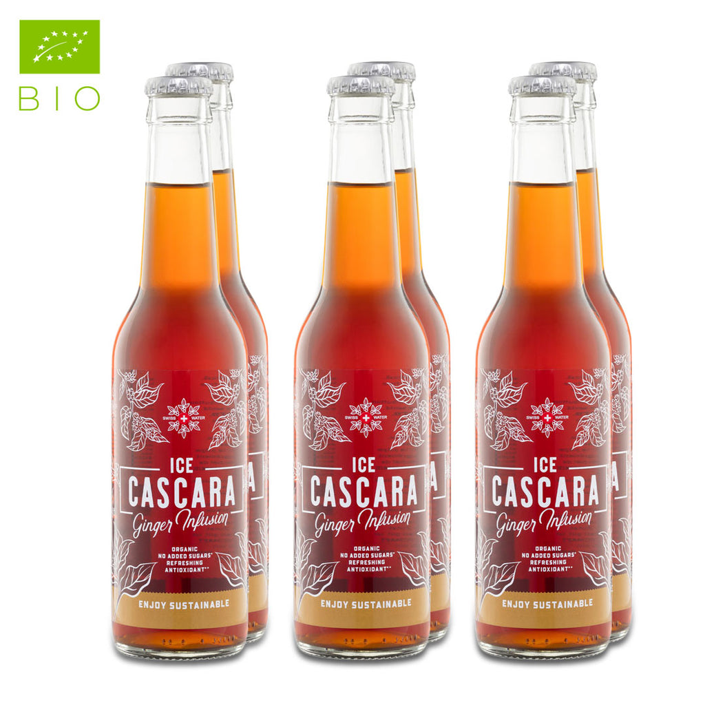Ice Cascara Gingembre 330ml
