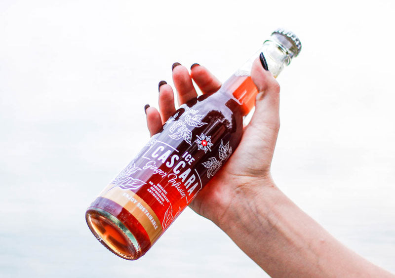 Ice Cascara Gingembre 330ml