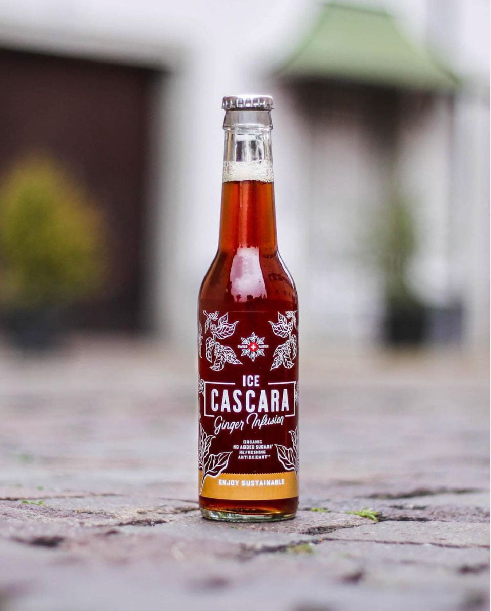 Ice Cascara Gingembre 330ml
